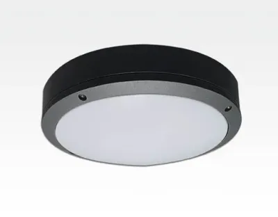 10W LED WandDeckenleuchte anthrazit rund Tageslicht Weiß / 6000-6500K 450lm 230VAC IP54 120Grad