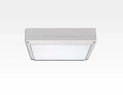 5W LED Wand/Deckenleuchte weiß rechteckig Tageslicht weiß / 6000-6500K 225lm 230VAC IP54 120Grad